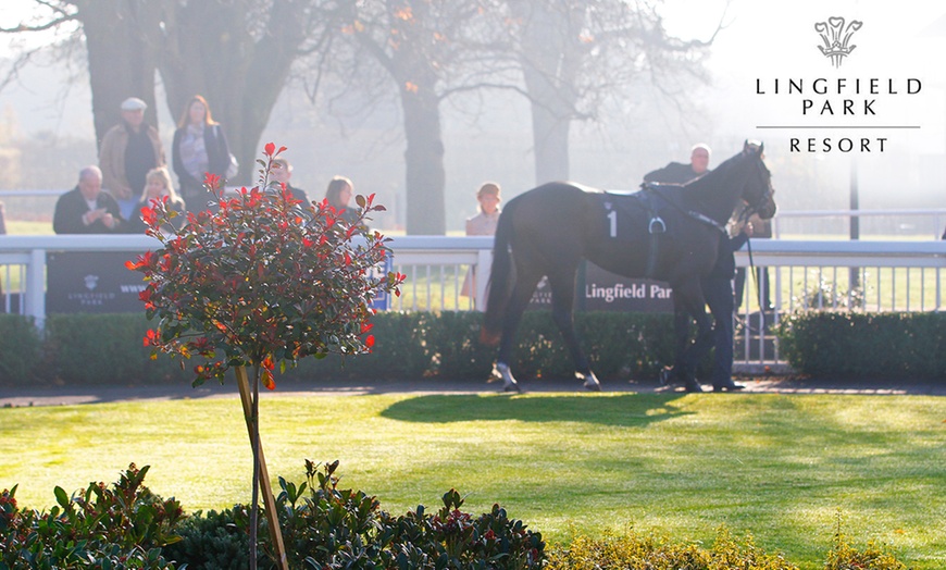 Image 1: Festive Panto Raceday For Two