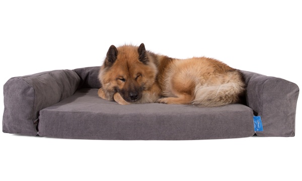 silentnight dog beds groupon