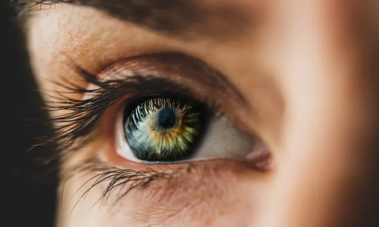 Formation en iridologie avec Meformer