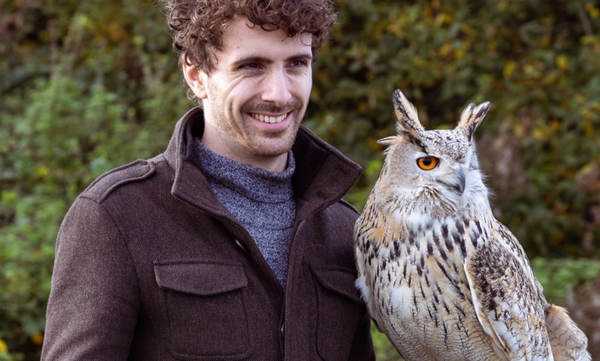 Image 5: Up to 41% Off on Falconry - Recreational at The North Somerset Bird Of Prey Centre