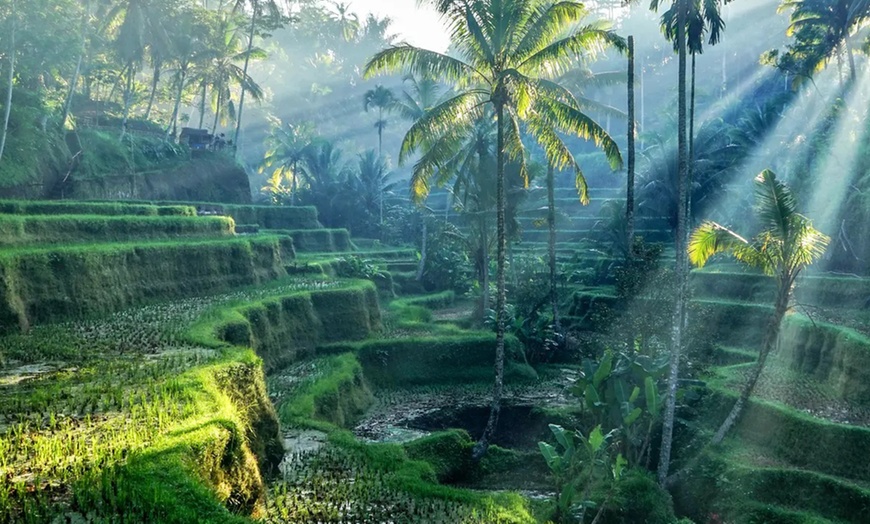 Image 10: Ubud: 3- or 5-Night Family Stay with Breakfast