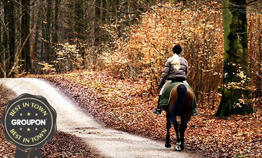 Image 1: Horse Riding Lessons