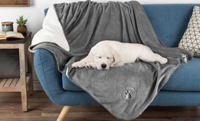 Petmaker Waterproof 50" x 60" Soft Plush Pet Throw