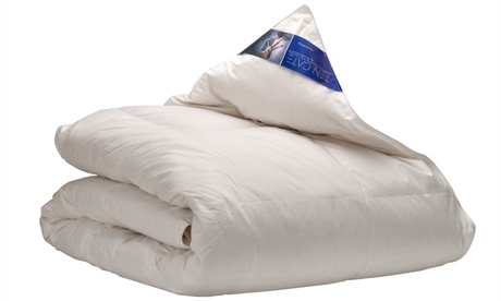 Couette en duvet Ten Cate avec 90% de duvet de canard de haute qualité et 10% de plumes de canard