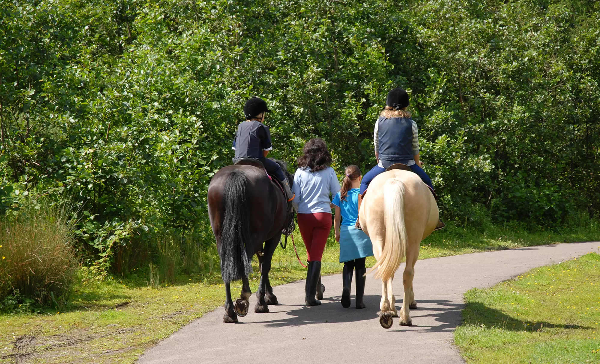 $20 for $40 Worth of Horseback Riding at Bit of Hope Ranch - Primary Image