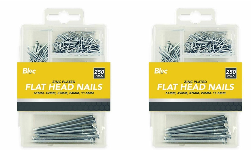 Image 3: Assorted Flat Head Nails Set