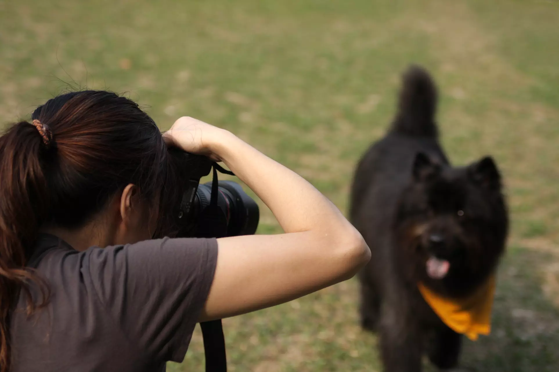 120-Minute Beginner's Photo Class and Walk for Two at SF Photo Class (45% Off) - Primary Image