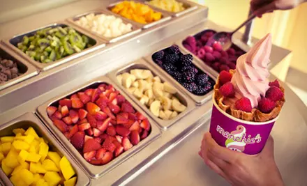 $5 for $10 Worth of Frozen Yogurt at Menchie’s - Primary Image