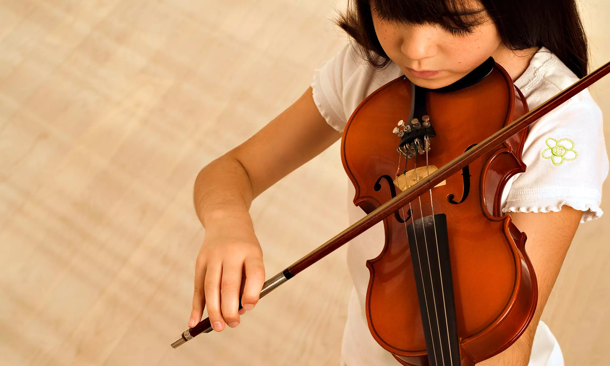 Violin, Viola, Cello, or Bass Rental from Antonio Strad Violin (Up to 56% Off). Two Options Available. - Primary Image