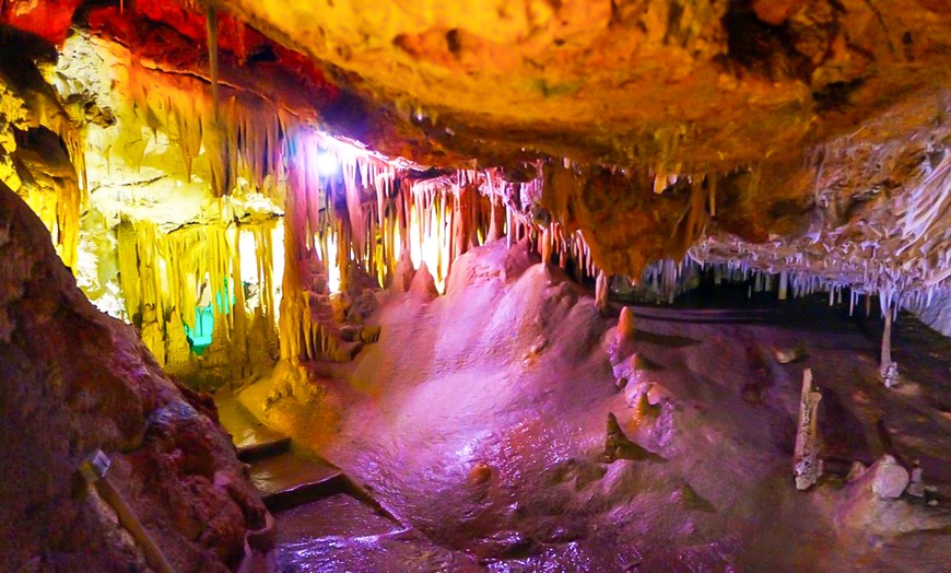 Image 5: Entradas a las Cuevas de Genova para toda la familia