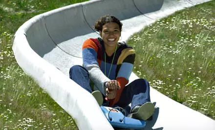 Two Rides on the Alpine Slide or Half-Day Adventure Pass for Two at Mt. Hood Skibowl (Half Off)  - Primary Image