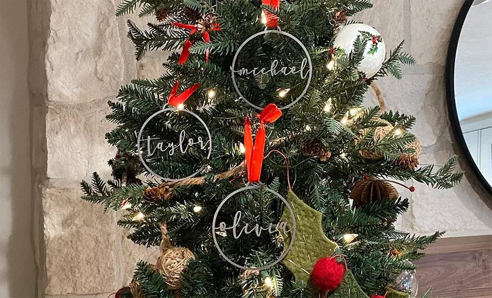Custom Minimalist Circle Ornaments from Rusted Orange (Up to 46% Off). Six Options Available.  - Primary Image