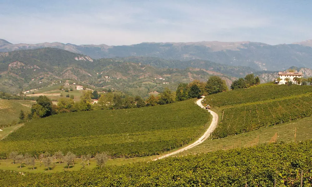 Prosecco Extra-Dry: 3, 6 ou 12 Bouteilles de vin pétillant italien - Image 3