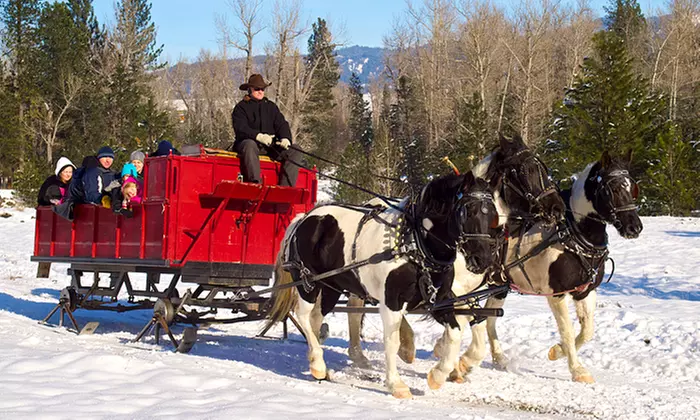 Sleigh Ride for 4 or 12 with Hot Drinks at Idaho Sleigh Rides (Up to 51% Off) - Primary Image