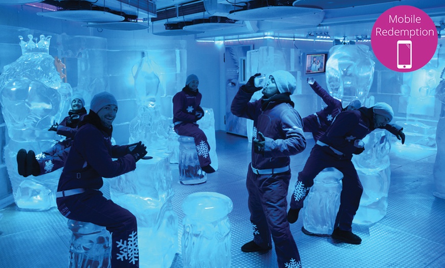 Image 2: Ice Bar: Entry with Drinks