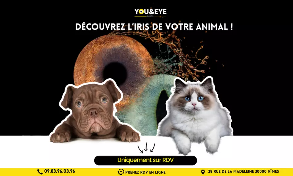 Vos yeux, une œuvre d'art : capturez l'essence de votre iris