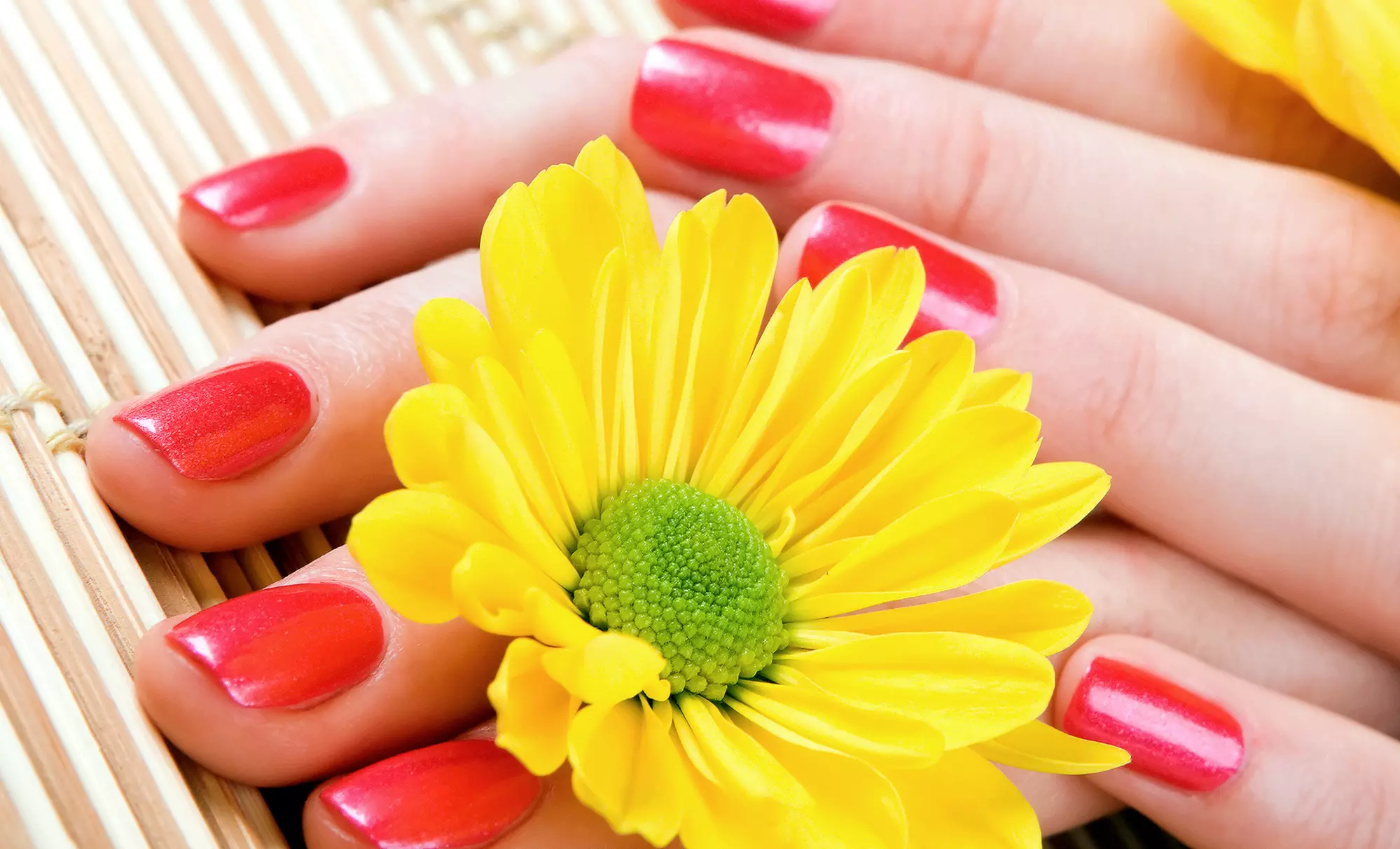 One or Two Shellac Gel Polish Manicures at llumin8 Podology and Med Esthetics (Up to 44% Off) - Primary Image