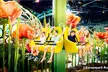 Europa Park Rust: 2 Tageskarten für Zwei mit Übernachtung, Frühstück & 1x Dinner im Mittelklassehotel für 149 € p.P. - Second Medium