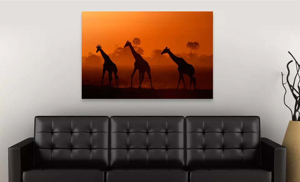 National Geographic 24"x36" Canvas Print. Multiple Prints Available. Free Returns. - Primary Image