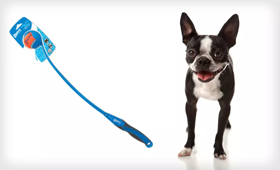 $6.99 for a Canine Hardware Chuckit! Ultra Grip Ball-Launcher Dog Toy ($19.99 List Price) - Primary Image