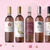 Image 2: Splash Wines: Rosé Collection - 6 or 12 Bottles of Crisp Rosé Wine