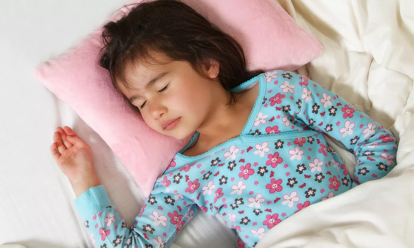 My First Memory Foam Toddler Pillow and Pillowcase - Primary Image
