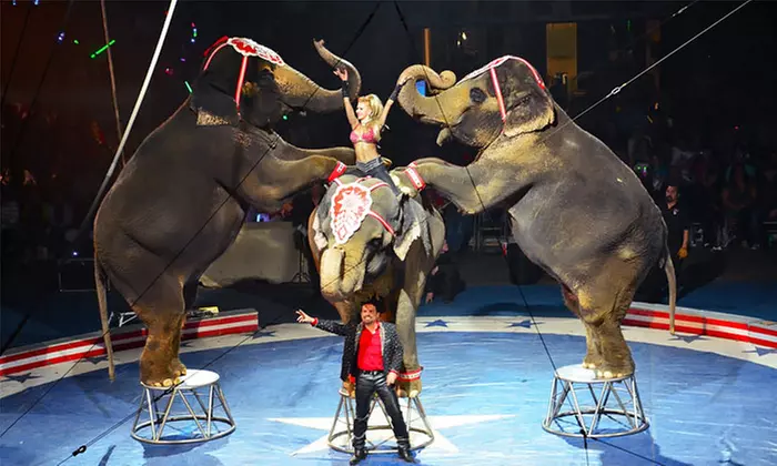 Shrine Circus at BB&T Arena at Northern Kentucky University in February 2016 (Up to 45% Off)   - Primary Image