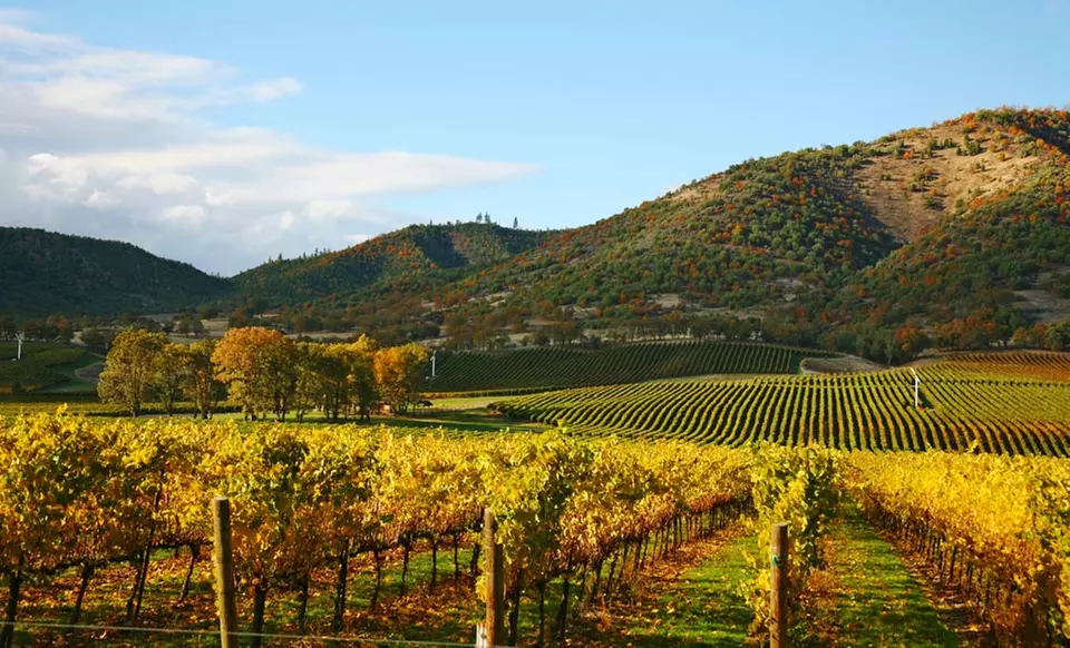 Stay for Two at Best Western Premier Ivy Hotel Napa in Napa, CA; Dates into March Available - Primary Image