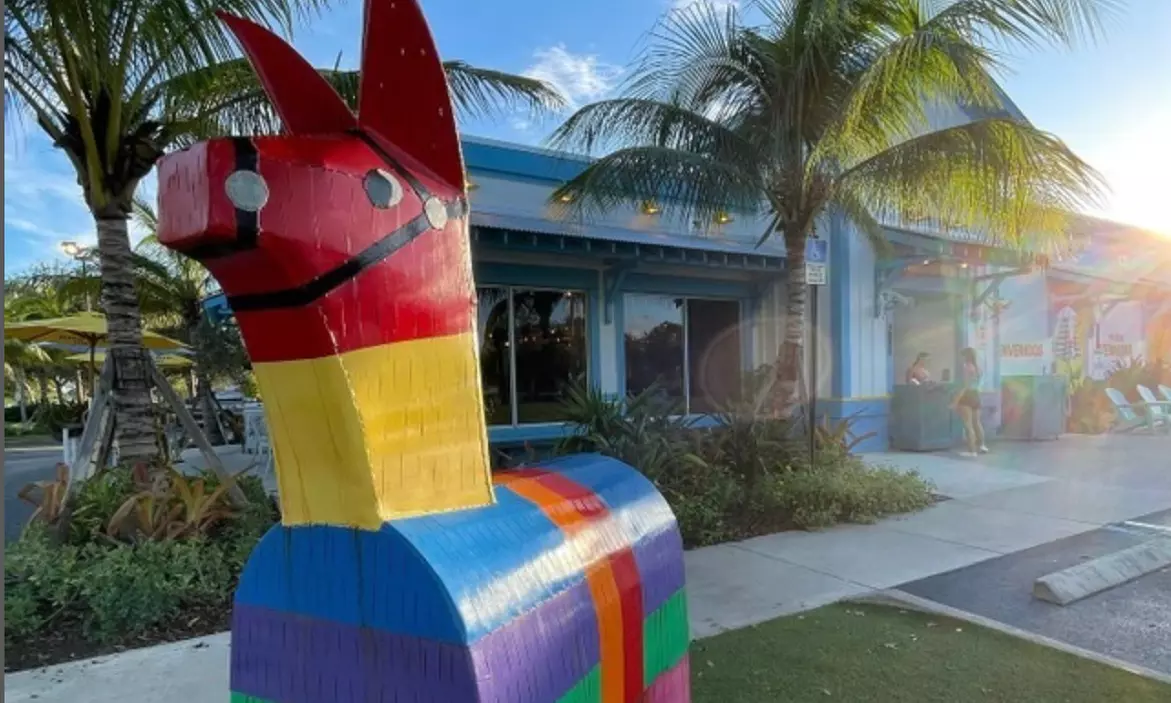 Exciting Mexican Food and Drinks with Vibrant Vibes and Dining Bliss
