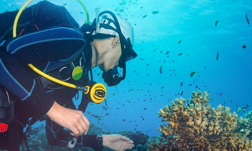 Image 3: Dive into a 90-minute Scuba Adventure in the Arabian Gulf