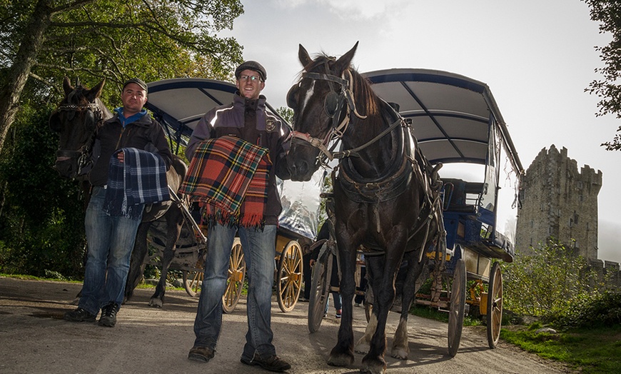 Image 6: Jaunting Car Tour for Four
