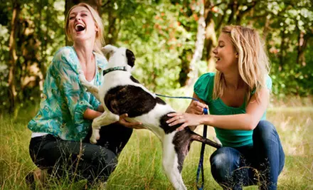 Dog-Waste Cleanup from Doo Care (Up to 53% Off). Three Options Available. - Primary Image