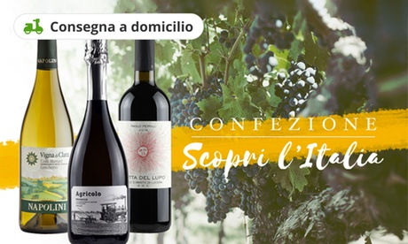 Set di vini pregiati a scelta, per scoprire i sapori d'Italia. Consegna a domicilio gratuita
