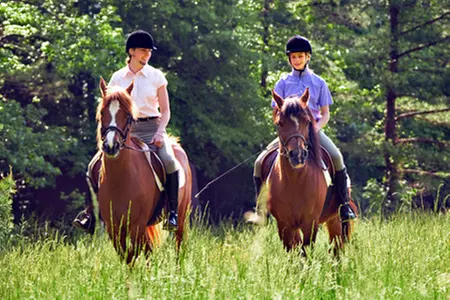 Private Horse Riding Lesson With a One-Hour Trek at MatchMoor - Primary Image