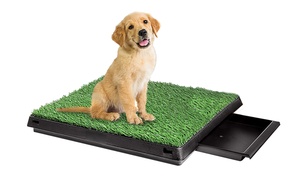 Indoor Pet Toilet Training Tray