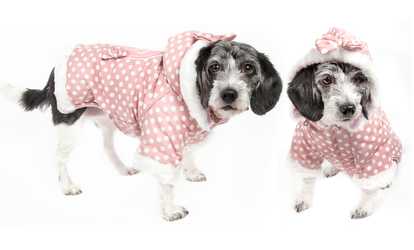 Polka-Dot Pet Hoodie Sweater