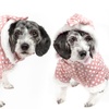 Image 6: Polka-Dot Pet Hoodie Sweater