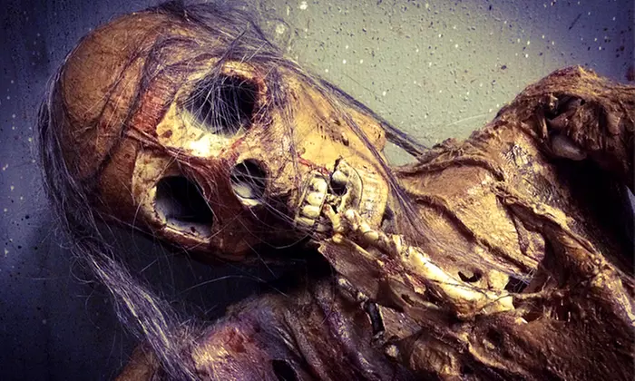 $19 for Speedpass Admission to The Haunt on October 28 or 29 ($30 Value) - Primary Image