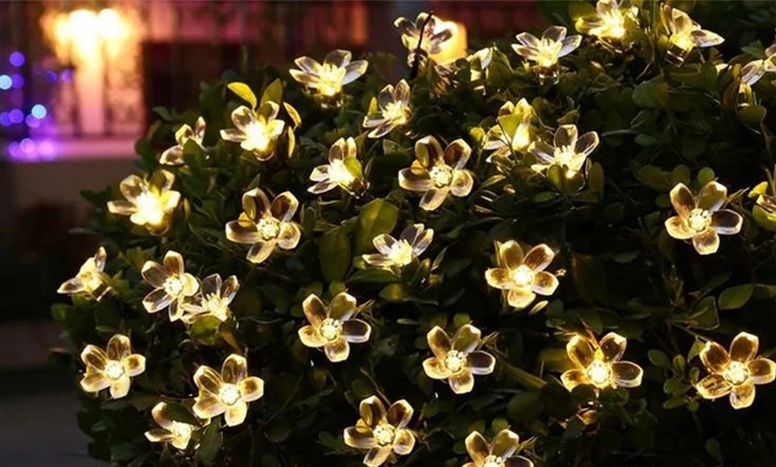 Image 1: 1 o 2 stringhe con 50 luci a LED a forma di fiori di ciliegio