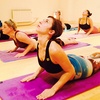 Image 1: Ten Hot Yoga Classes