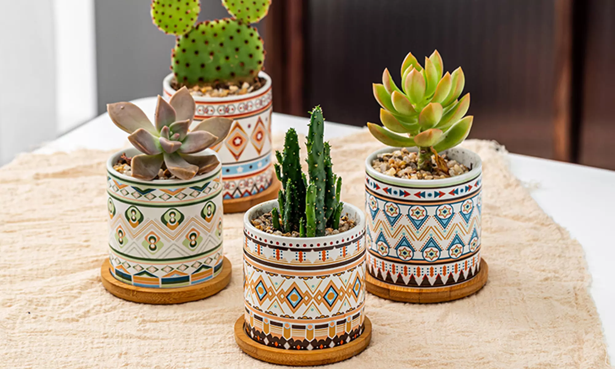 Lot de 3 pots de fleurs en céramique pour succulentes