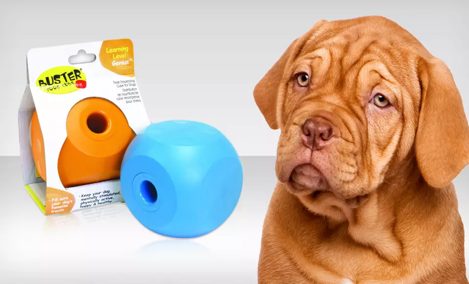 Our Pets Buster Food Cube Interactive Dog Toy in Medium or Large (Up to 44% Off). Free Returns. - Primary Image