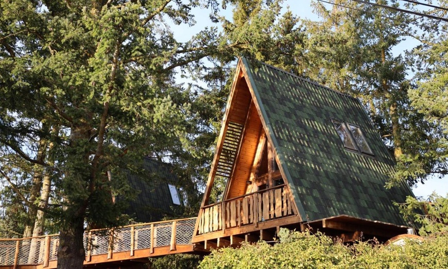 Image 4: Tarragone : 1 ou 2 nuits en chambre, maison en bois ou igloo avec spa