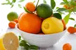 Meyer or Eureka Lemon Citrus Tree Live 4 Inch Potted Plant - Second Medium