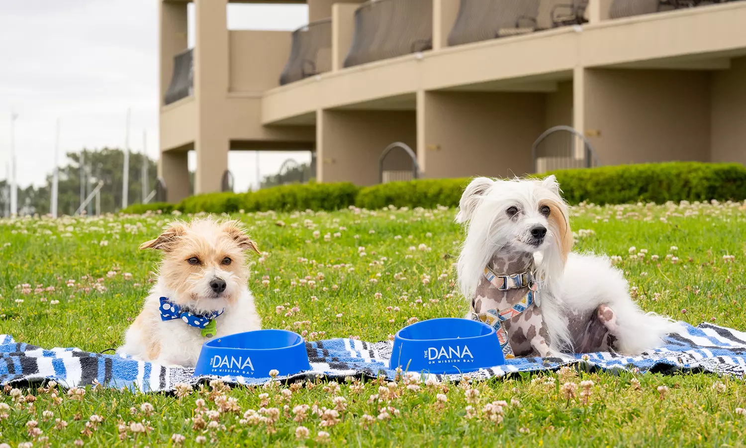 Waterfront Resort on Mission Bay with Two Heated Pools