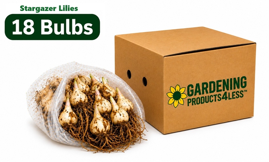 Image 14: Graduation Flower Bulb Collections