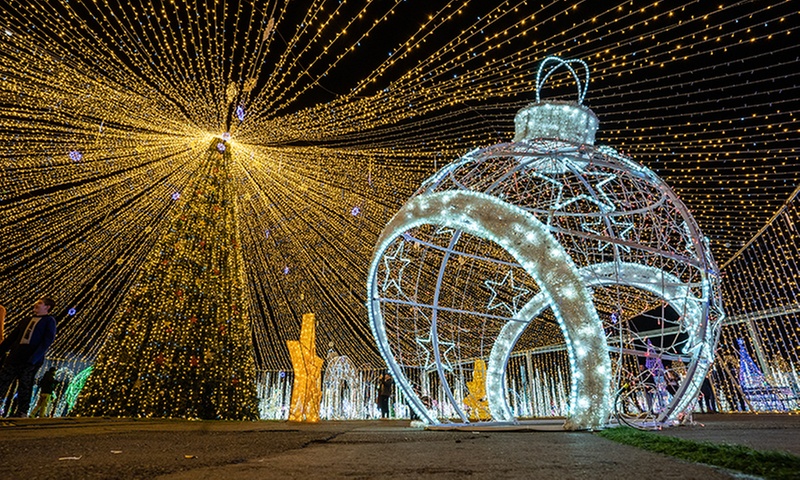 Imaginarium Presents Land of Oz - Dazzling Light Experience in Pomona