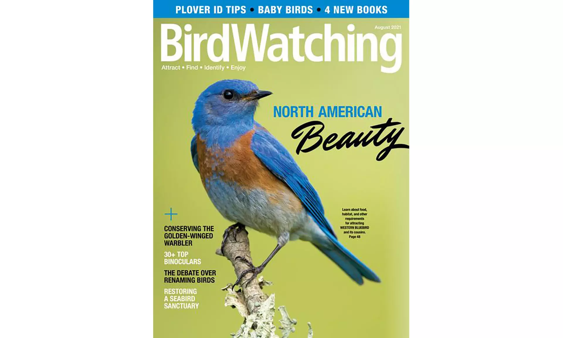 BirdWatching Six-Month or One-Year Subscription (Up to 52% Off) - Primary Image