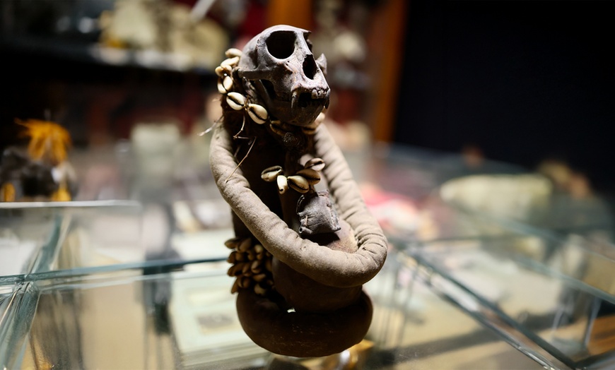 Image 3: Explore Museum of Curiosities with One, Two or Four Tickets 