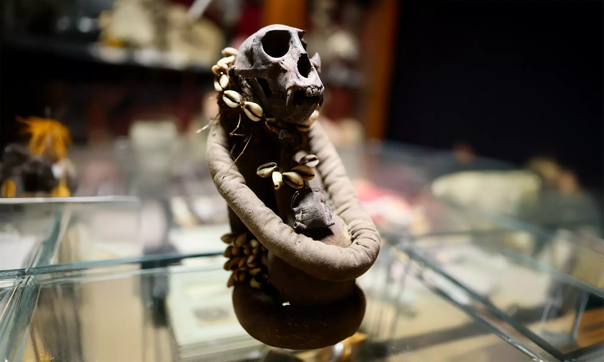 Explore Museum of Curiosities with One, Two or Four Tickets